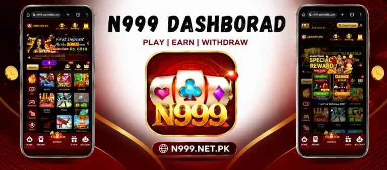 N999 Dashborad look n999.net.pk